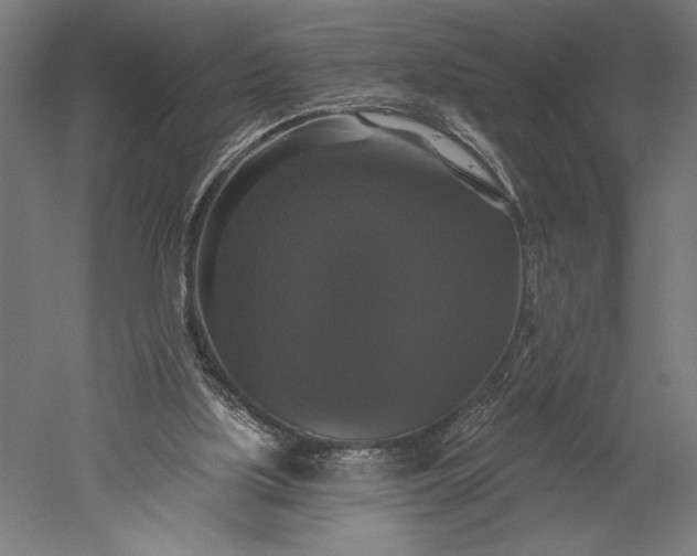 X0000051260059200507011729