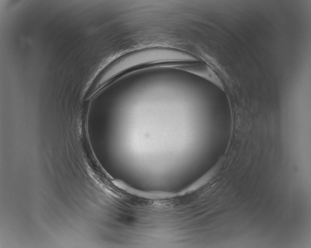 X0000051260060200507011729
