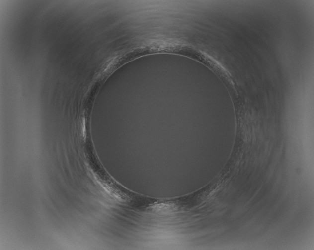X0000051260067200507011729