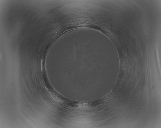 X0000051260070200507011729