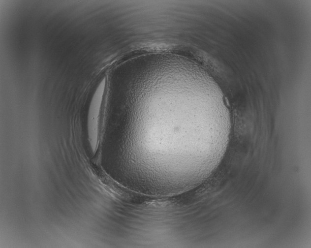 X0000051260071200507011729