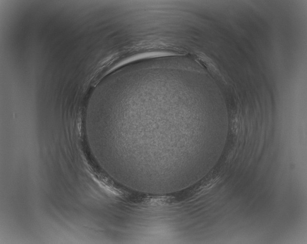 X0000051260072200507011729