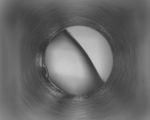 X0000051260076200507011730