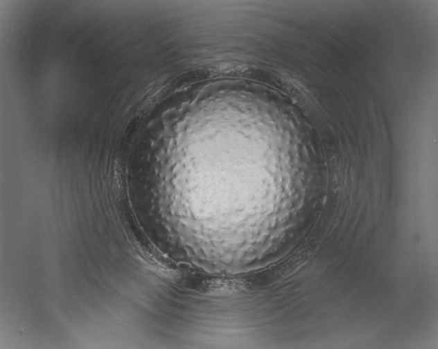 X0000051260077200507011730