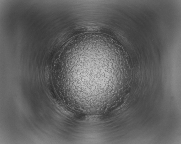 X0000051260078200507011730