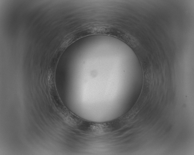 X0000051260079200507011730