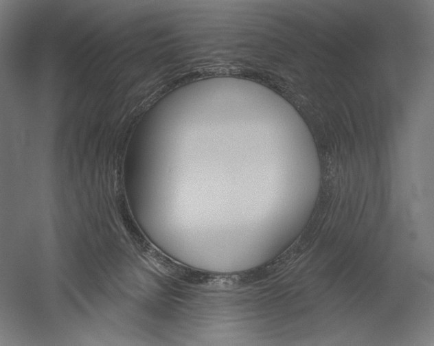 X0000051260080200507011730