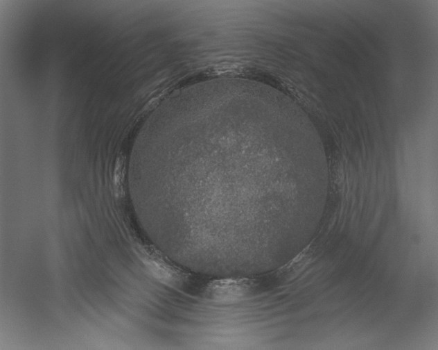 X0000051260082200507011730