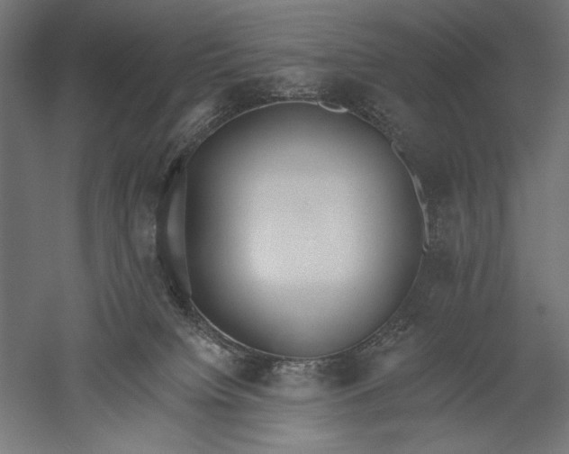 X0000051260084200507011730