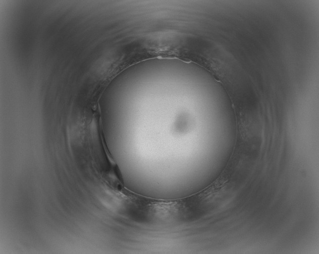 X0000051260085200507011730