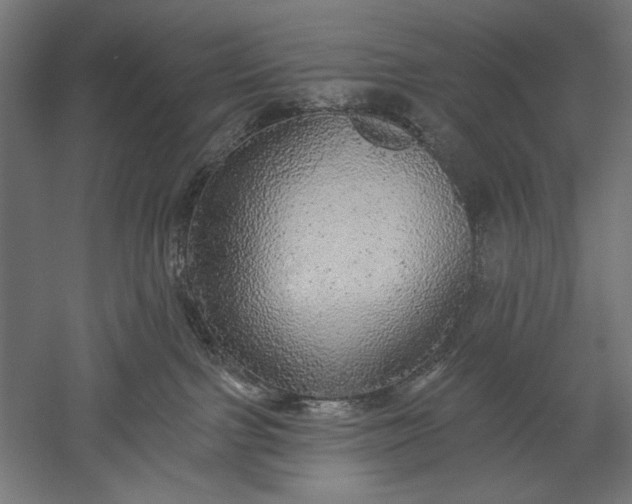 X0000051260091200507011730