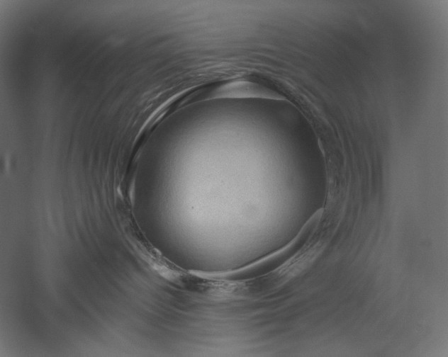 X0000051260096200507011730