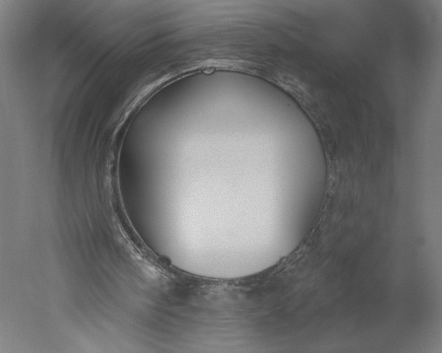 X0000051260098200507011729