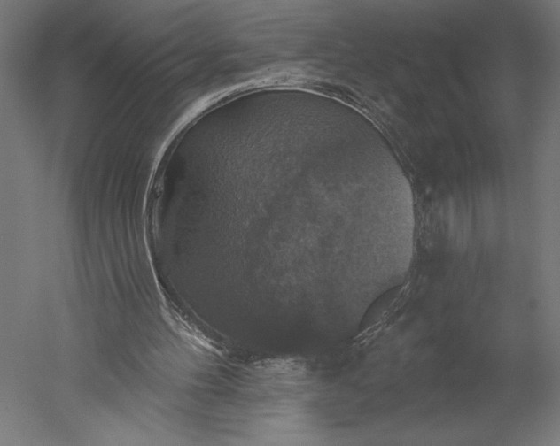 X0000051260100200507011729