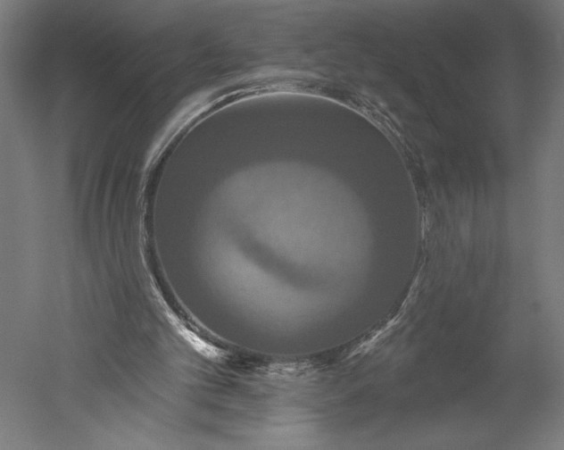 X0000051260101200507011729