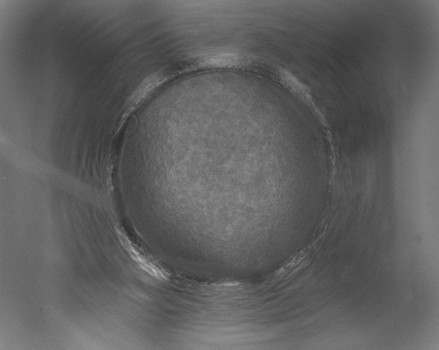 X0000051260106200507011729
