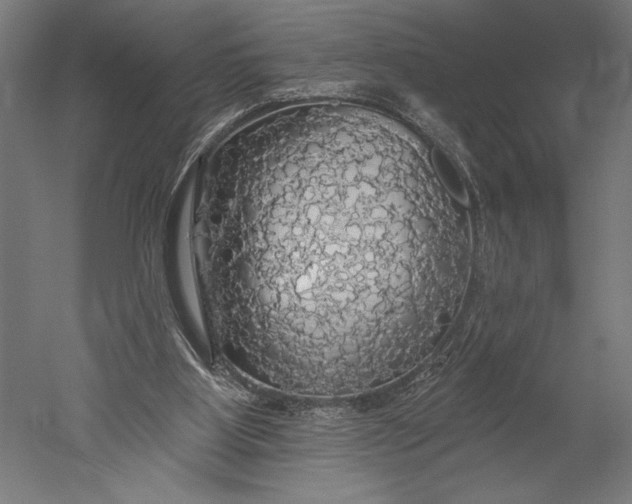 X0000051260107200507011729