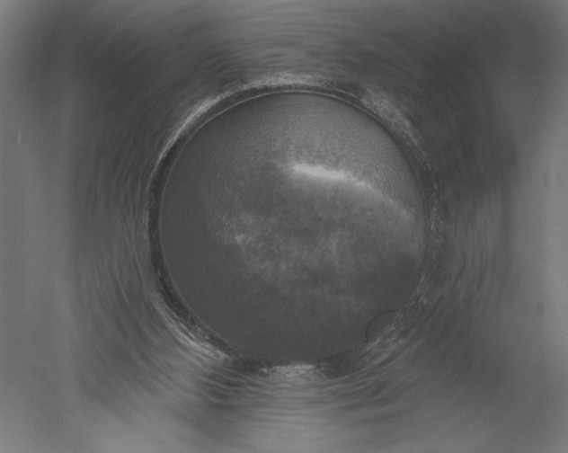X0000051260108200507011729