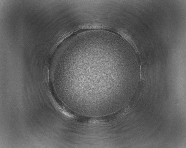 X0000051260109200507011729