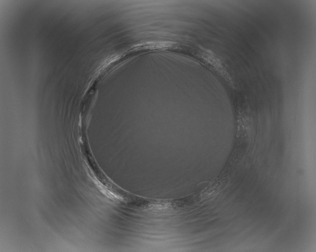 X0000051260110200507011729