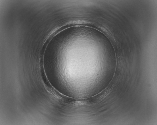 X0000051260111200507011729