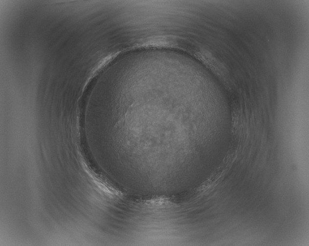 X0000051260112200507011729