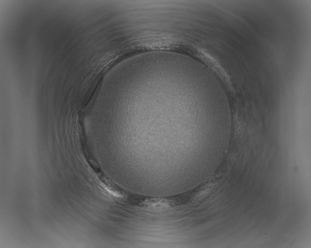 X0000051260113200507011729