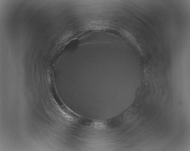 X0000051260114200507011729