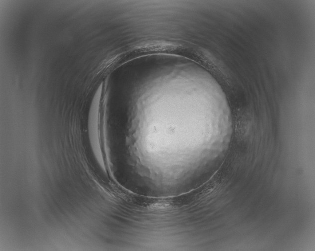 X0000051260119200507011729