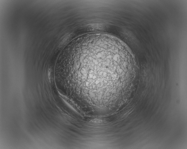 X0000051260123200507011729