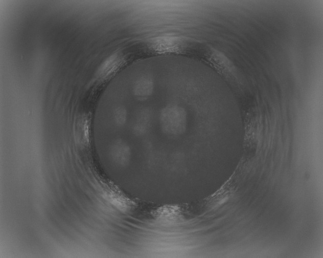 X0000051260124200507011729