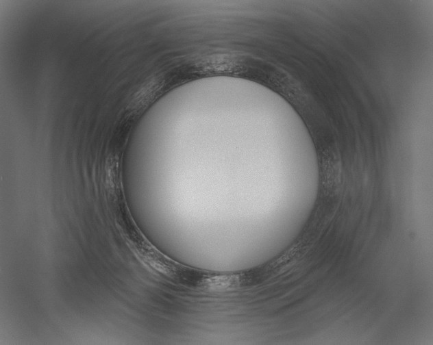 X0000051260126200507011729
