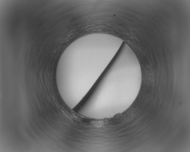 X0000051260131200507011728