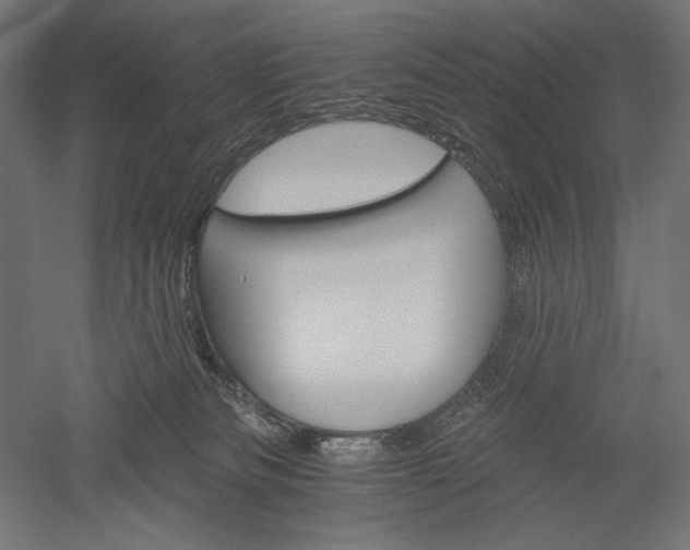 X0000051260133200507011728