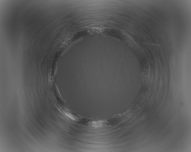 X0000051260134200507011728