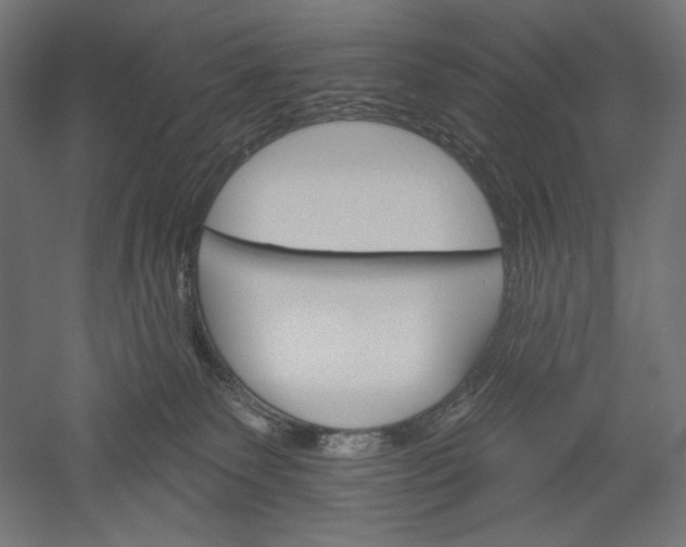 X0000051260135200507011728