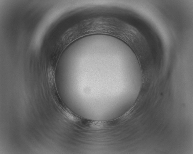 X0000051260142200507011728