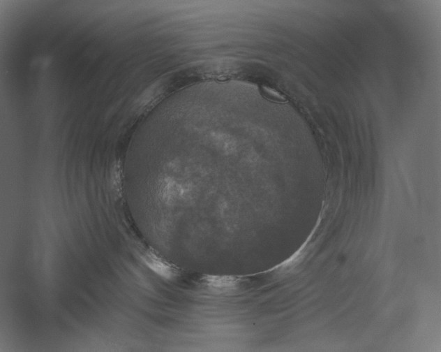 X0000051260144200507011728