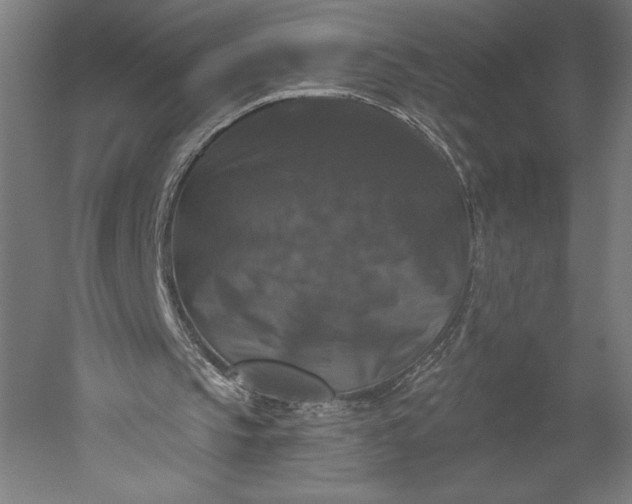 X0000051260145200507011727