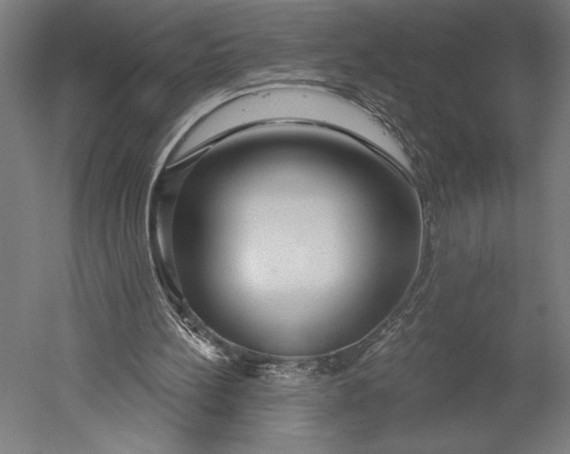 X0000051260148200507011727