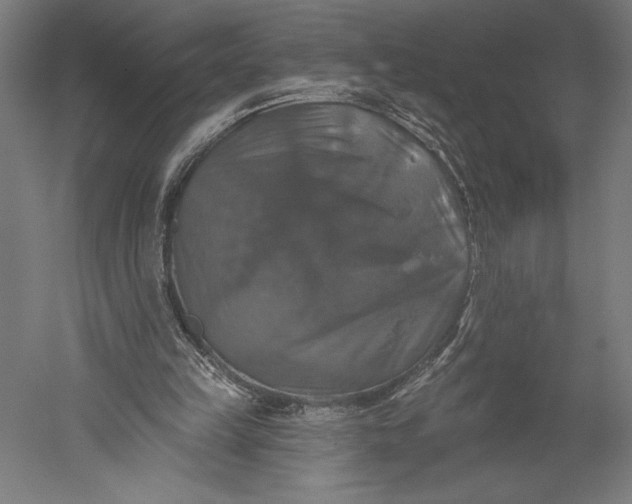 X0000051260149200507011727