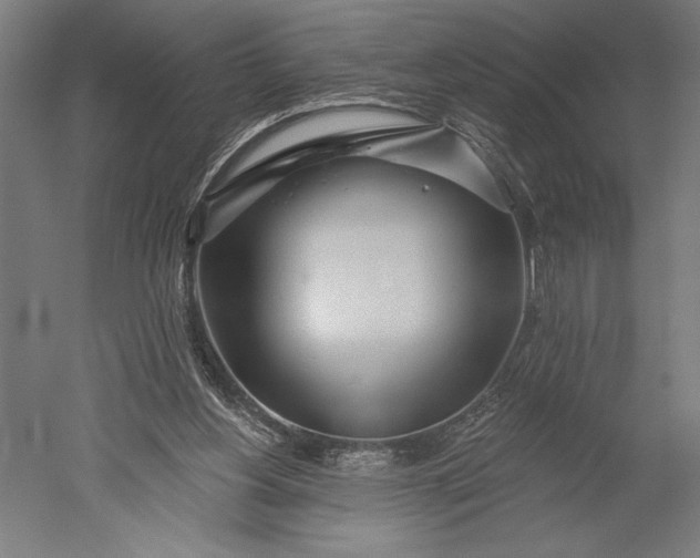 X0000051260156200507011728