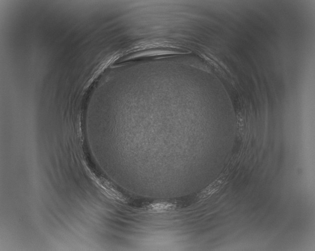 X0000051260158200507011728