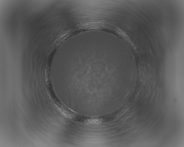X0000051260161200507011728