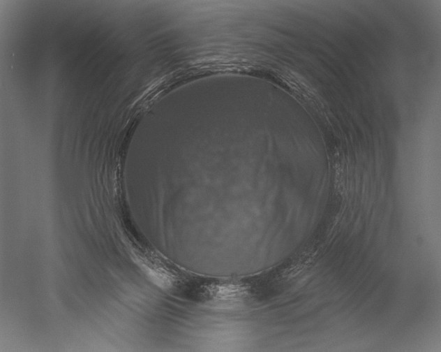 X0000051260165200507011728