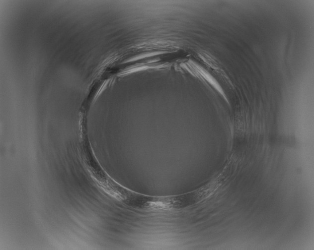 X0000051260167200507011728