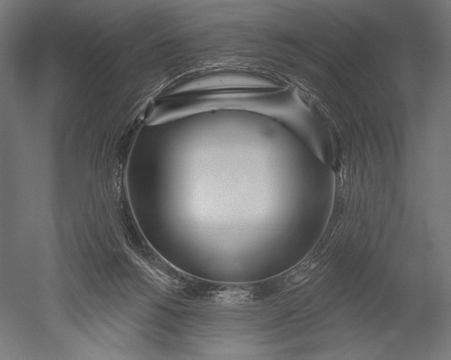 X0000051260168200507011728