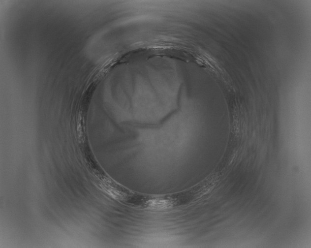 X0000051260169200507011728