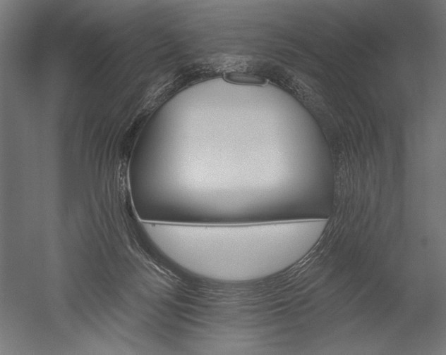 X0000051260172200507011728