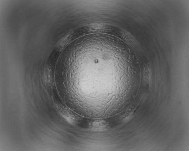 X0000051260173200507011728